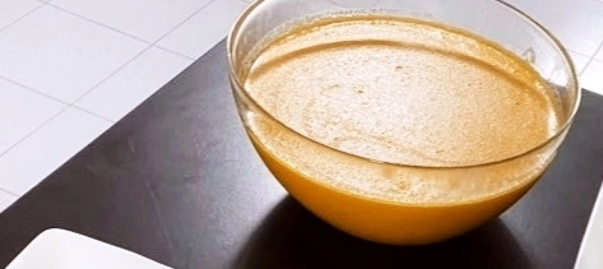 Crema de gambones navideña con Thermomix
